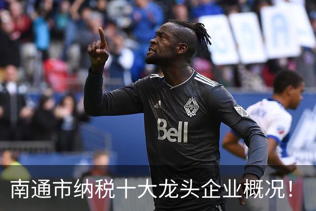 南通市纳税十大龙头企业概况！