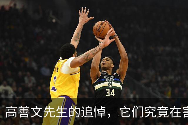 高善文先生的追悼，它们究竟在害怕什么？